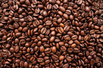 write coffee bean roasting business plan