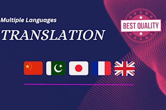 efficiently translate numerous languages