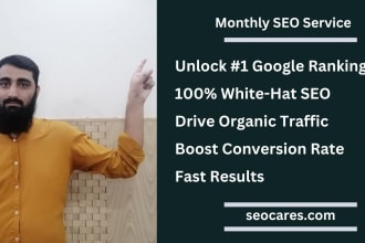 provide complete monthly SEO service with on page off page