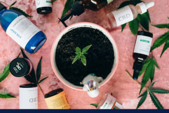 do high da cbd and cannabis guest post