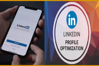 do linkedin profile optimization or write a professional summary, bio