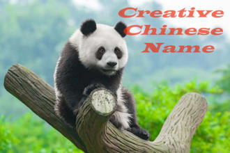 creat a chinese name for you or your company