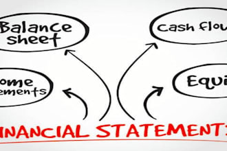prepare balance sheet , profit and loss , cash flow statement