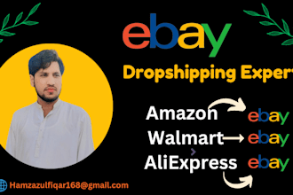 do amazon to ebay dropshipping top listings, walmart to ebay dropshipping