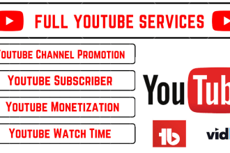 professional youtube channel promotion and video SEO