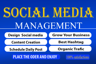 be your social media manager and digital marketing manager