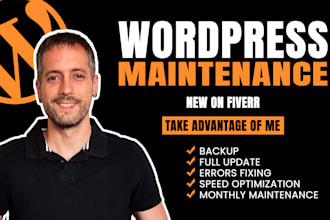 update your wordpress website including backup and fix