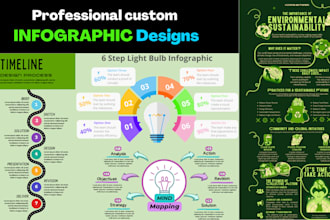 create infographic design and custom professional business infographics