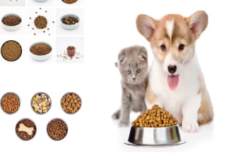 formulate commercial and homemade dog and cat food