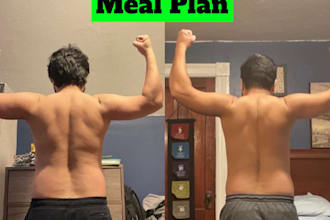 create a meal plan for you