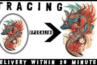 professional vector tracing services fast 20 minute delivery