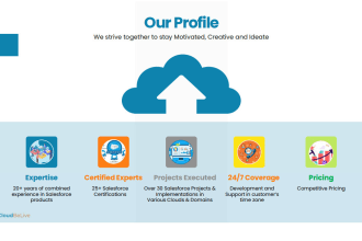 handle all salesforce related admin and development activities