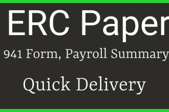 prepare 941, erc documents, payroll report,profit and loss statement