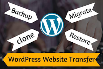design redesign copy clone wordpress website in limited time
