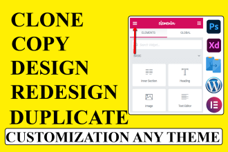 redesign copy clone duplicate design wordpress website any theme customization