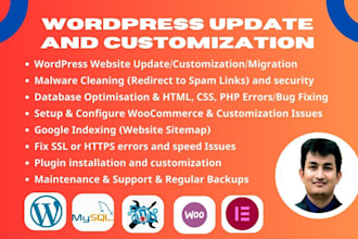 php version and wordpress update and customization of your website