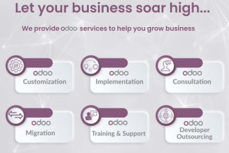 build, deploy or customize an odoo erp system for you