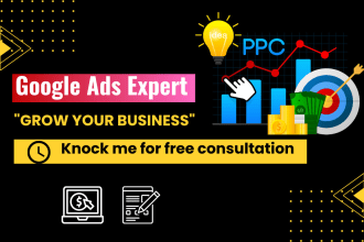 setup and maintenance google ads, adwords, PPC campaign, performance max