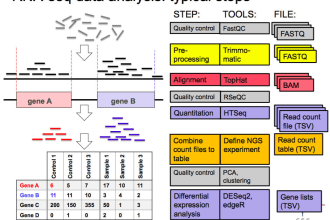do rna seq analysis through r programming, linux  and galaxy servers