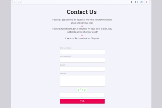 write or fix PHP,wordpress contact us form