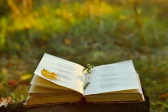 help in creative writing, drama, poetry, fiction and  literature and society
