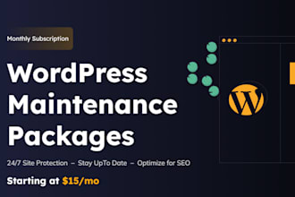 provide wordpress website maintenance