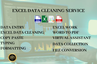 perform perfect excel data cleaning, formatting, merging, and CSV data