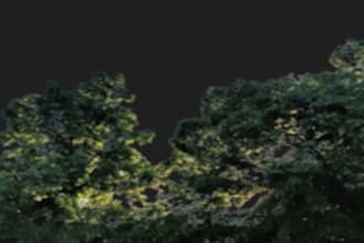 do image remove to background