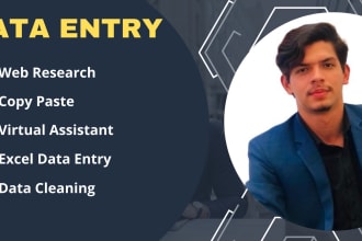 do freelance data entry work, web research and data cleaning