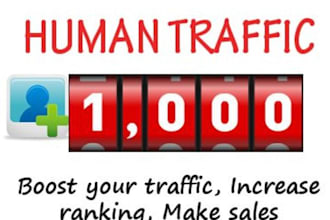 get you 1000 Targeted REAL Human Traffic to your website