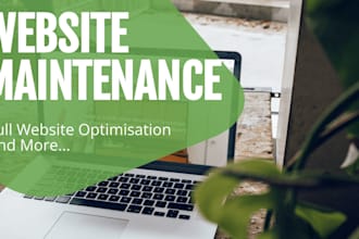 maintain and optimize your website