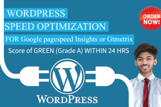 speedup wordpress website for google pagespeed insights or gtmetrix within 24hrs