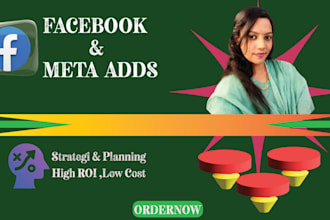 run profitable facebook ads instagram ads and you tube ads campaign