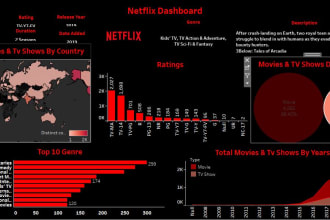 be your business data analyst and visualization expert