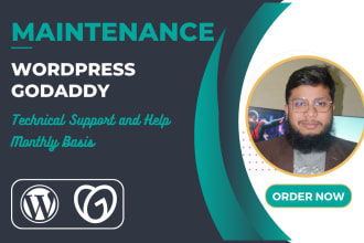 wordpress and godaddy website maintenance as a website manager