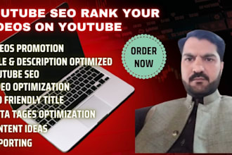 do youtube SEO expert and video promotion