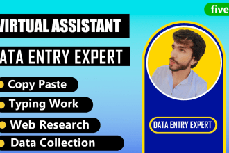 data entry typing work job, copy paste, web sacraping, data collection
