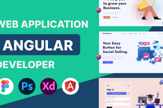 develop your angular web app and integrate API, ssr and SEO
