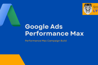 build a google ads performance max campaign for you