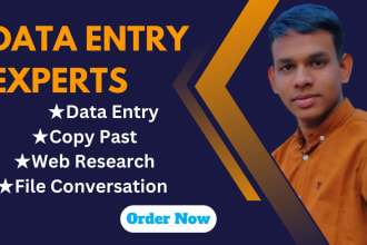 do data entry,copy past,web research,file conversation