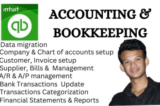 do quickbooks setup, catch up, clean up, bank reconciliation online bookkeeping