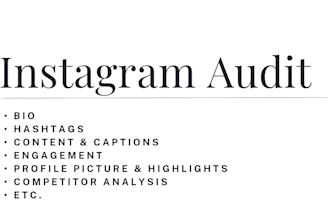 conduct a full instagram audit for your brand