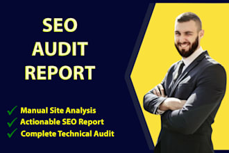 provide a strategic roadmap for success with a complete website SEO audit report