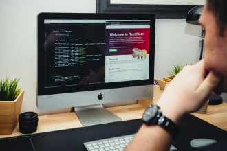 build, customize, or fix your wordpress website