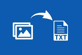 manually input pdf or image into word