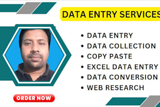 do professional data entry web research job