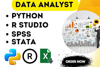 do statistical data analysis, r coding, SAS, excel, spss, python programming