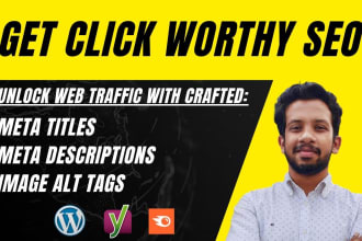 seo optimize meta tags, titles, alt tags for your website