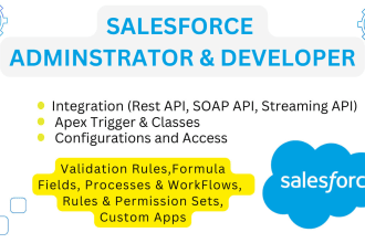be your salesforce developer and admin