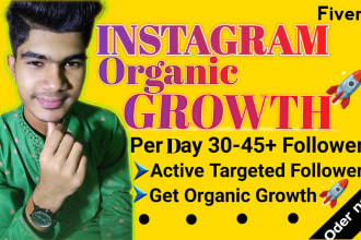 instagram organic marketing promotion and manage